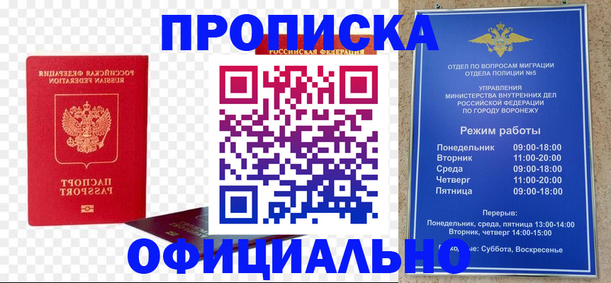 прописка иностранных граждан в Курчалом